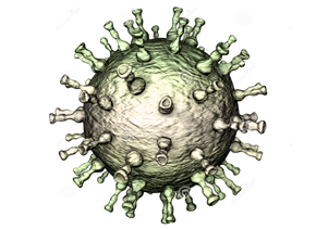Varicella Zoster Virus 