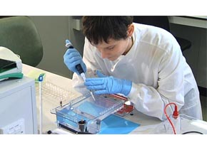 Agarose Gel / PCR Product Purification